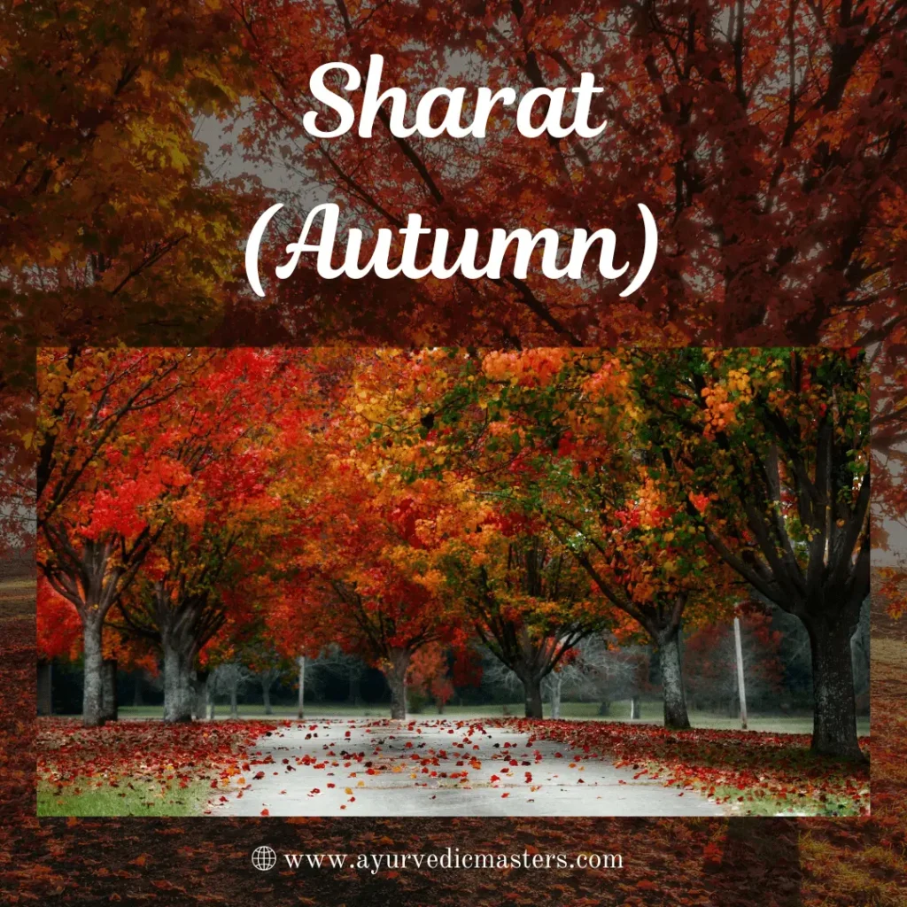 Sharat (Autumn)