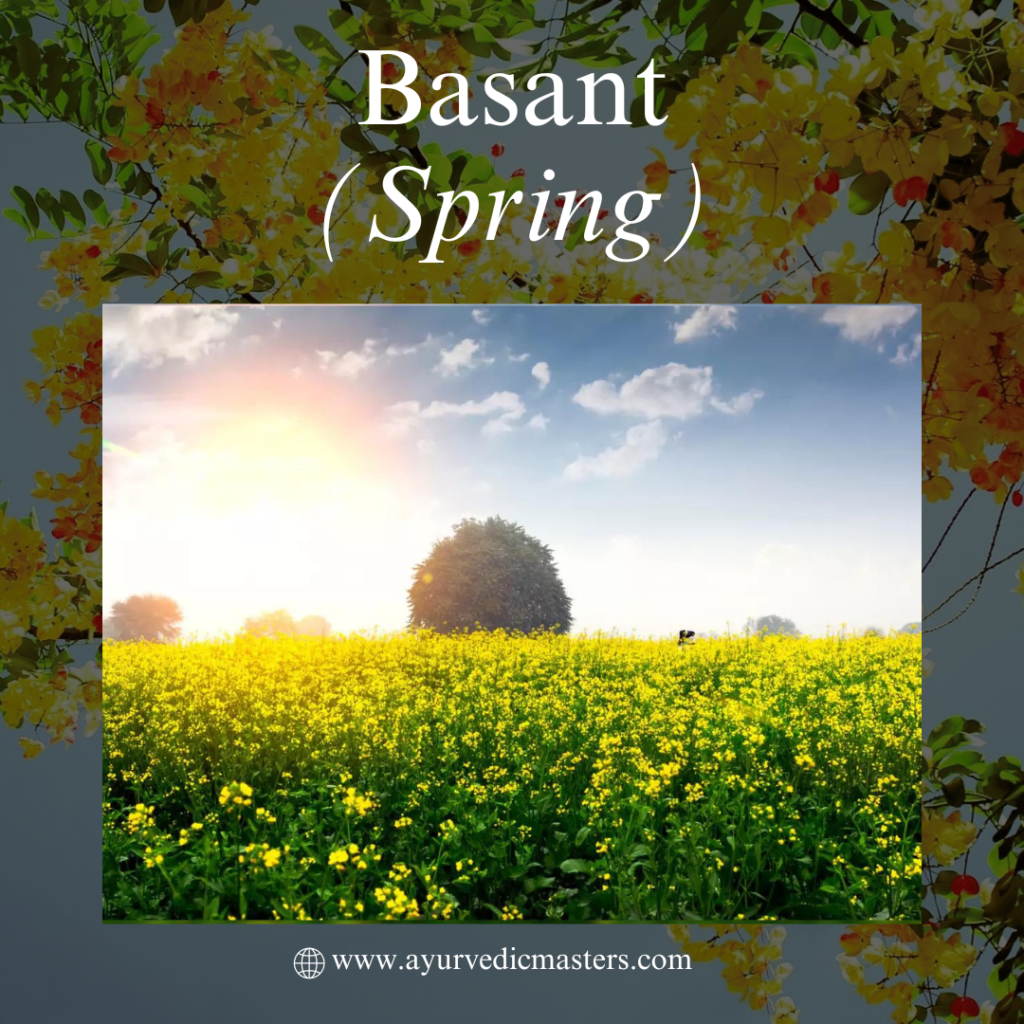 Basant (Spring)