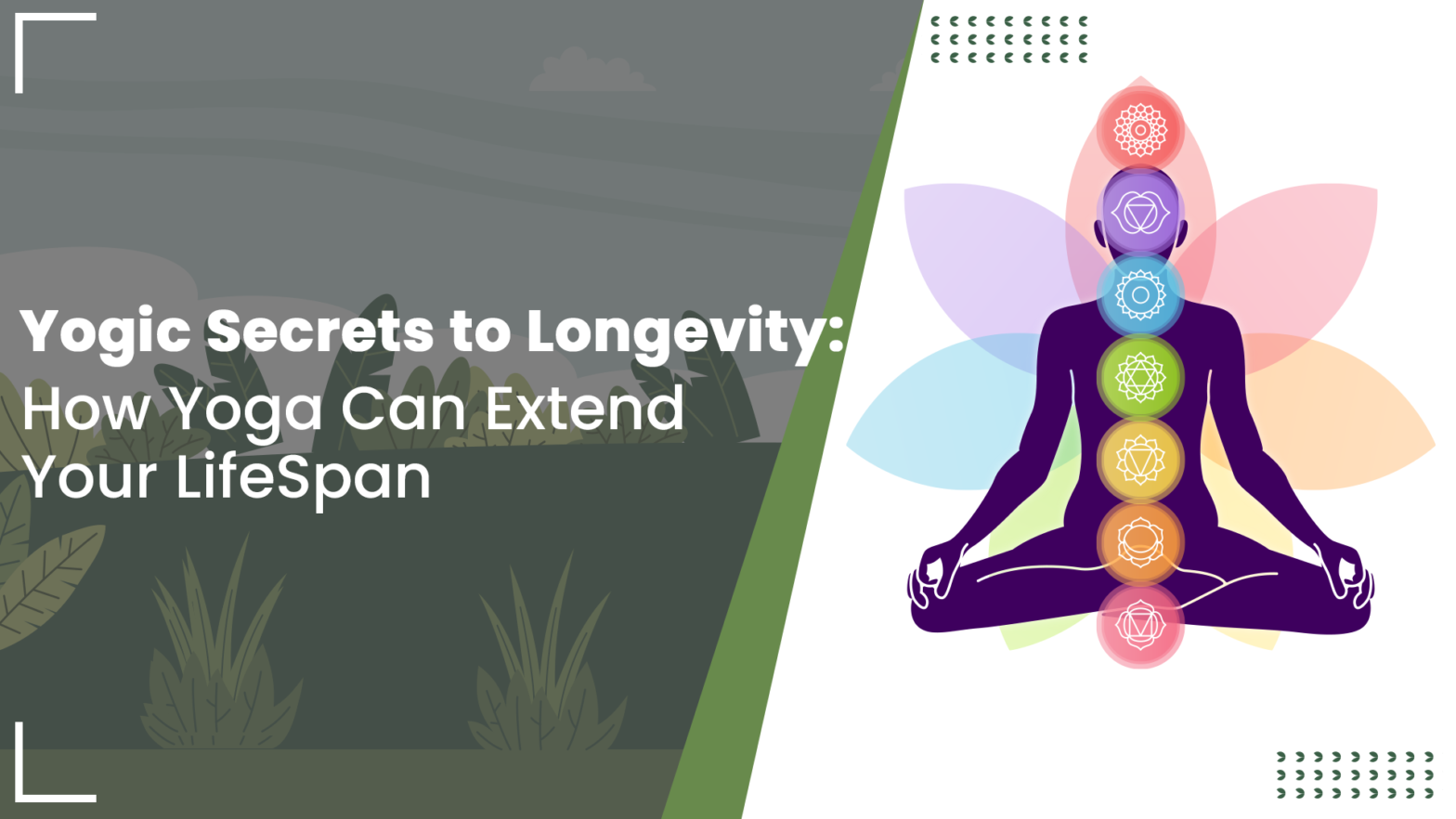 how yoga can increase lifespan